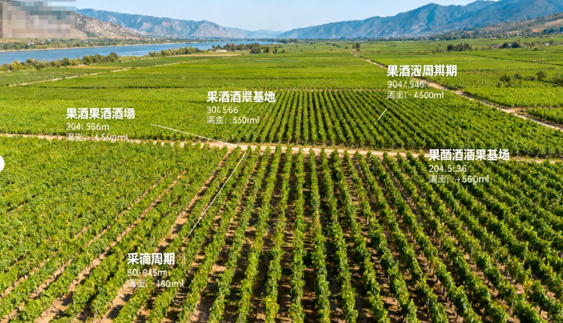 再看口碑:别信 “好评如潮”,要 “带细节” 的评价