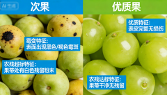 果酒原料（水果）怎么找？ - 贵州黄氏酒厂