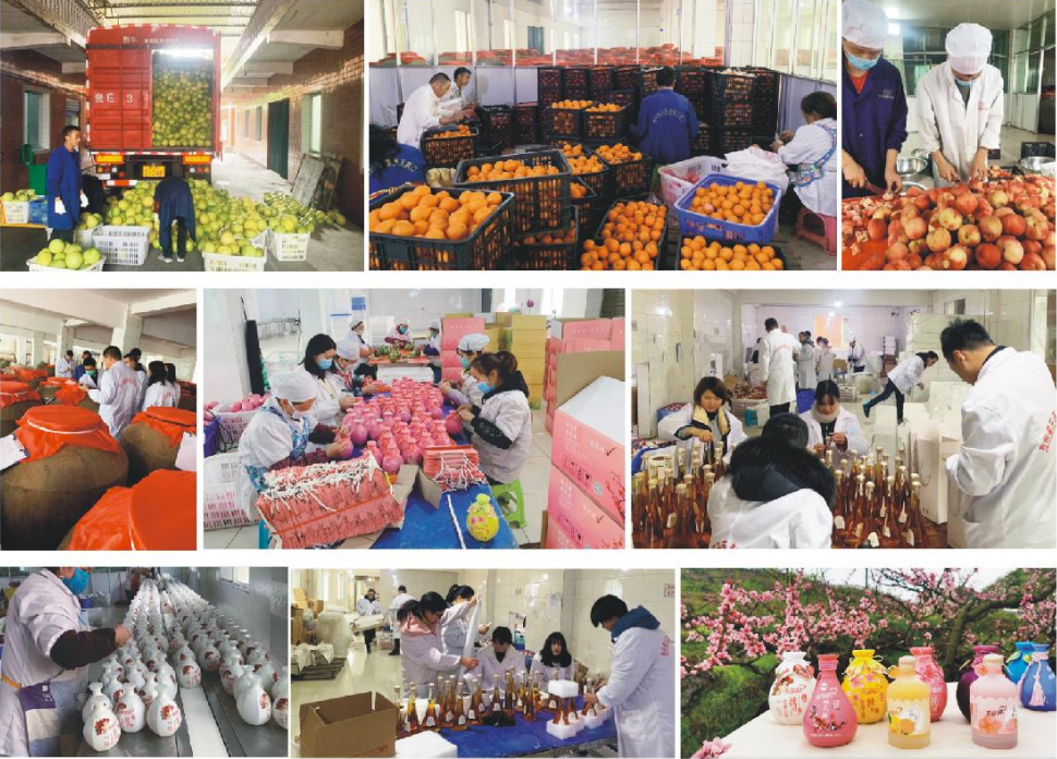 黄氏酒厂标准化生产车间-资质齐全的生产环境