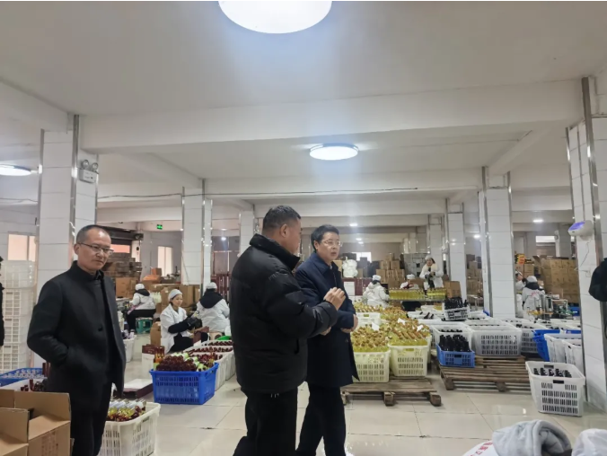 冬日送暖意·关怀助酒香 | 清镇市委书记调研黄氏酒厂，寄望传统产业焕发新活力