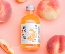 刺梨酒一件代发，高利润小众好品