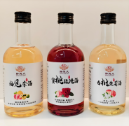 发酵工艺-花果酒酿造