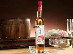 发酵工艺-花果酒酿造